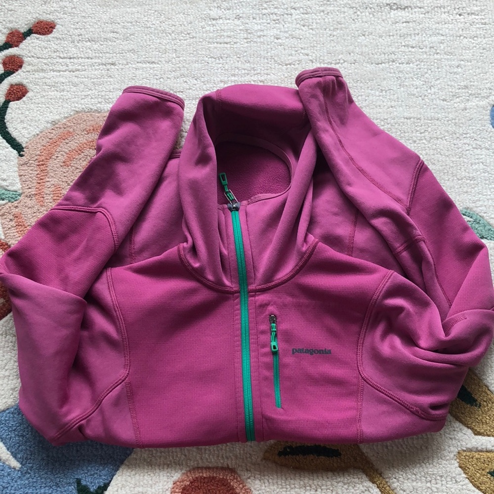 Patagonia hooded fleece